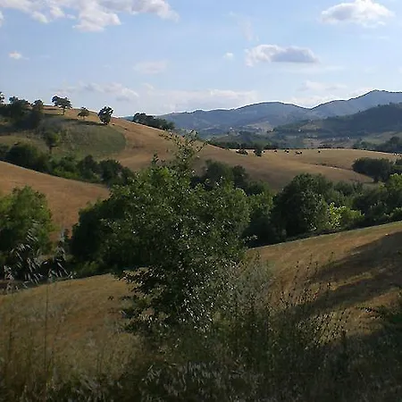 Borgo Cicco Bianco